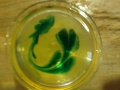 2012-04-19-00-53-13